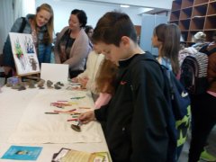 IMG_20170929_175259.jpg